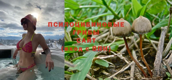 бошки Каменка