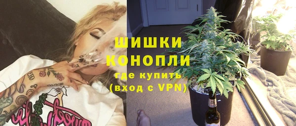 ГАЛЛЮЦИНОГЕННЫЕ ГРИБЫ Карпинск