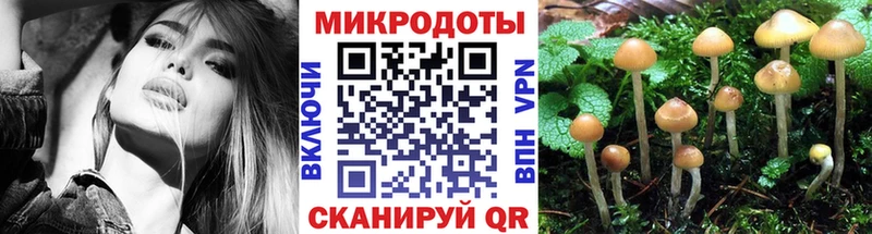 Псилоцибиновые грибы MAGIC MUSHROOMS  Купить где  Долинск 